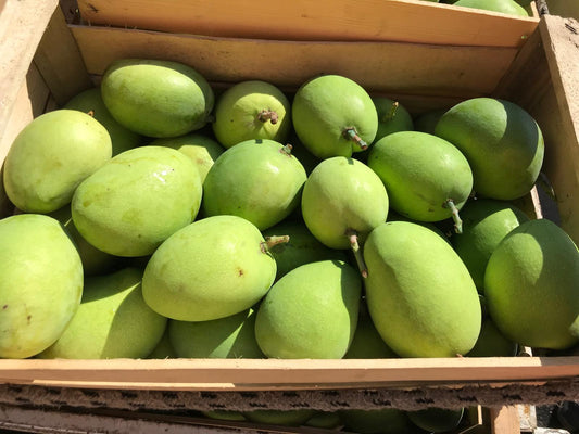 Mango (Set-Nov)