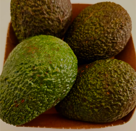 Avocado dell'etna (Nov - Apr)